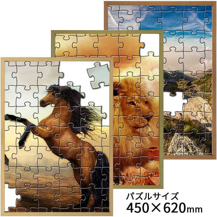 楽天市場】ジグソーパズル額 BH-W01F アクリル付 額縁内寸法(適合する