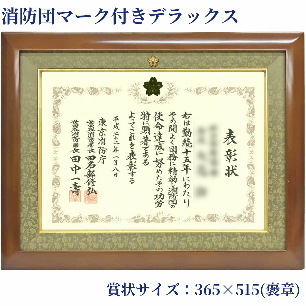 楽天市場】競馬ミニゼッケン専用額 GT501 アクリル付き 242×303