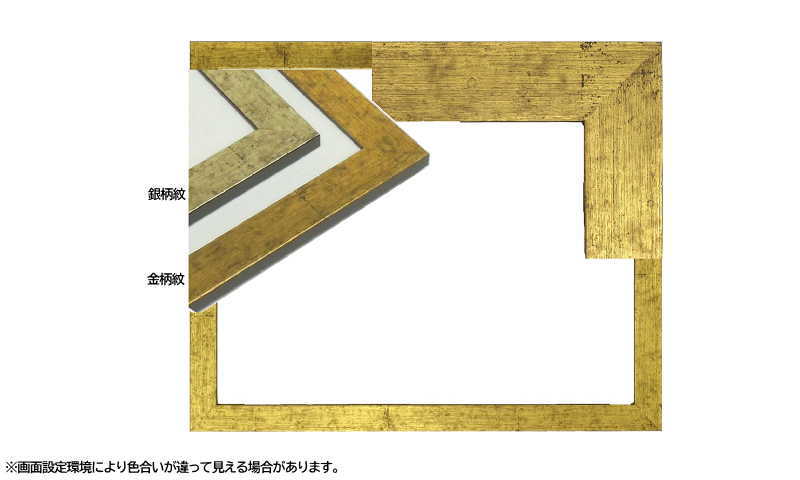 5698 デッサン額 300×600mm　横長額 軽量タイプ アクリル板 額縁 フレーム