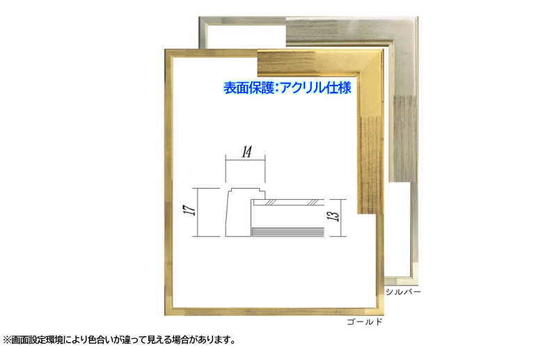 大額 7513 デッサン額 八ツ切 シルバー