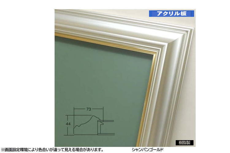 3455N シャンパンゴールド F8号 455×380mm 油彩額 油絵額 油彩額縁 油絵額縁 額縁