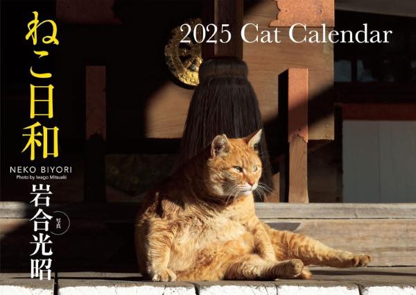 猫田にゃん 楽天市場】臨時特別号 日刊ニャンダイ2024 2月15日発行