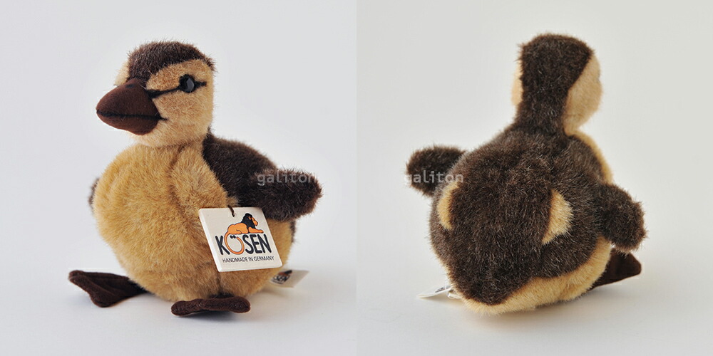 楽天市場】ケーセン ぬいぐるみ 白いアヒル 7740 全長16cm ウェブ