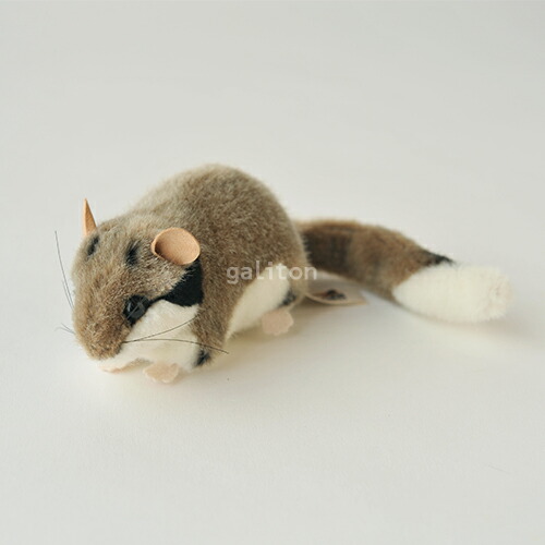 楽天市場】＼平日9時までの注文で即日発送／【スターチャイルド やまね