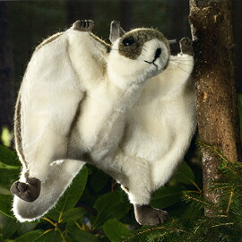 ケーセン Koesen ぬいぐるみ モモンガ FLYING SQUIRREL｜木のおもちゃがりとん