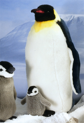 楽天市場 ケーセン社 ぬいぐるみ 皇帝ペンギン 大 Emperor Penguin 木のおもちゃがりとん