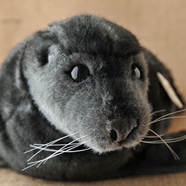 楽天市場 Koesen ケーセン社ぬいぐるみ ワモンアザラシの赤ちゃん Ringed Seal Baby 木のおもちゃがりとん