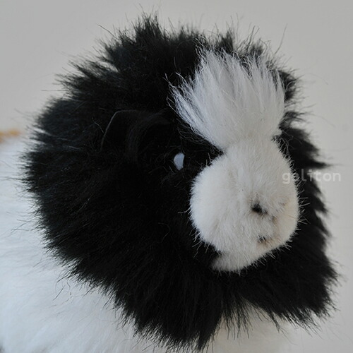 楽天市場】ケーセン Koesen ぬいぐるみ モルモット 薄茶 GUINEA PIG