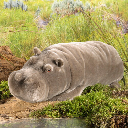 楽天市場】ケーセン ぬいぐるみ kosen かば カバ 40cm Hippo