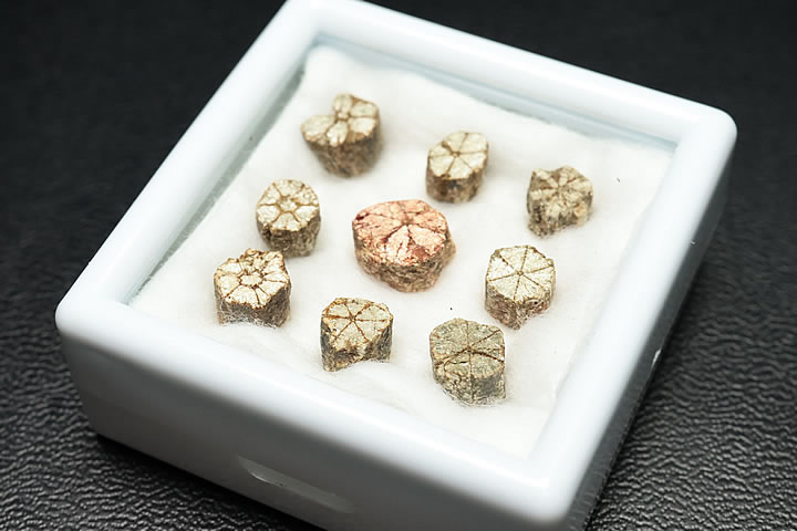 桜石 京都府亀岡市産　天然記念物指定