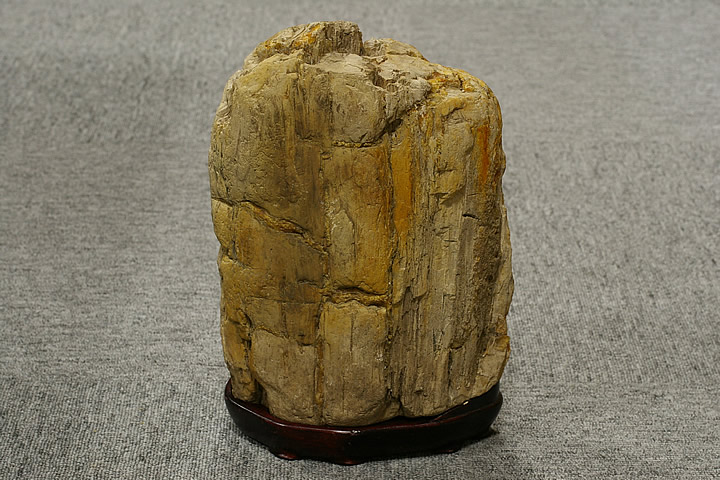 楽天市場】JUN 天然飾り石 木化石(もくかせき) 20kg 【取寄商品