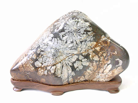 楽天市場】根尾谷菊花石 岐阜県根尾谷産 : ギャラリーメイスン