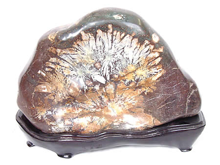 楽天市場】根尾谷菊花石 岐阜県根尾谷産 : ギャラリーメイスン