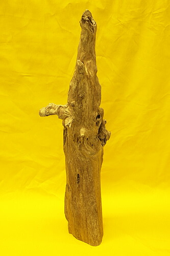 楽天市場】【沈香】博物館クラス！特大！沈香原木 小山