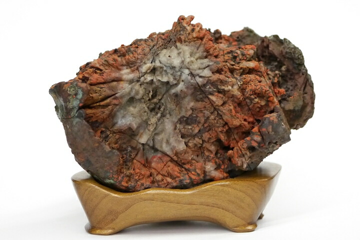 楽天市場】【送料無料】菊花石 鑑賞石 (産地/ 根尾 赤倉山) 唐木台