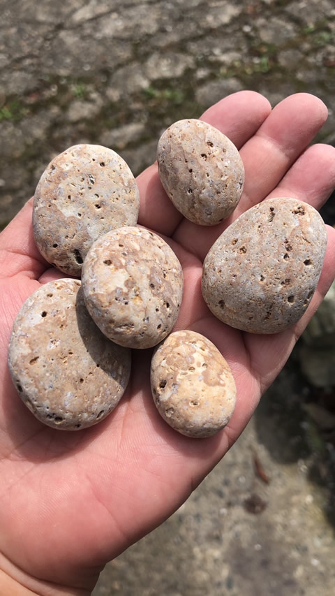 楽天市場】新潟県姫川産 姫川薬石 5個セット販売 : ギャラリーメイスン