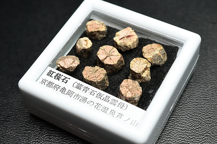紅桜石 ケース入り 京都府亀岡市産 天然記念物指定 10,164円