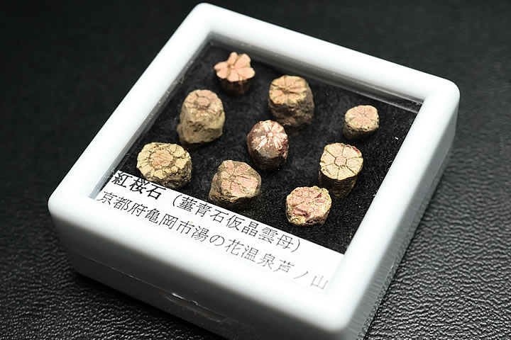 紅桜石 ケース入り 京都府亀岡市産 天然記念物指定