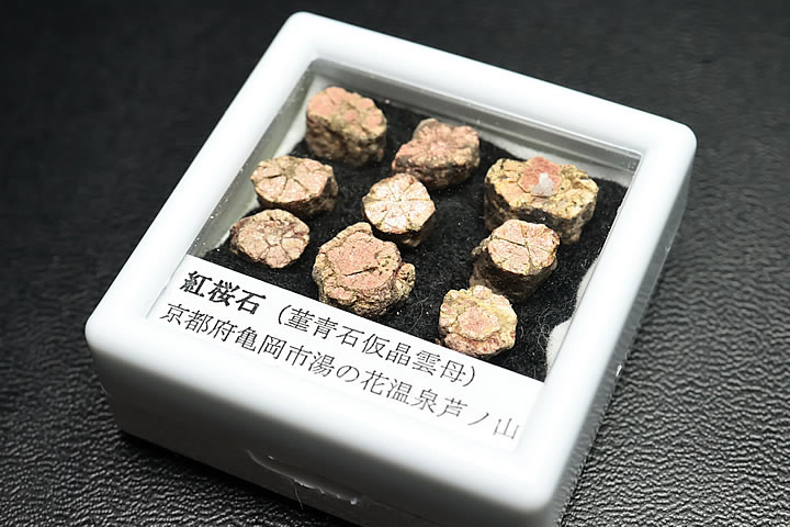 紅桜石 ケース入り 京都府亀岡市産 天然記念物指定