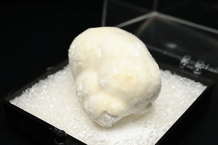 オケナイト原石(オーケン石)インド産 ケース入り(大)