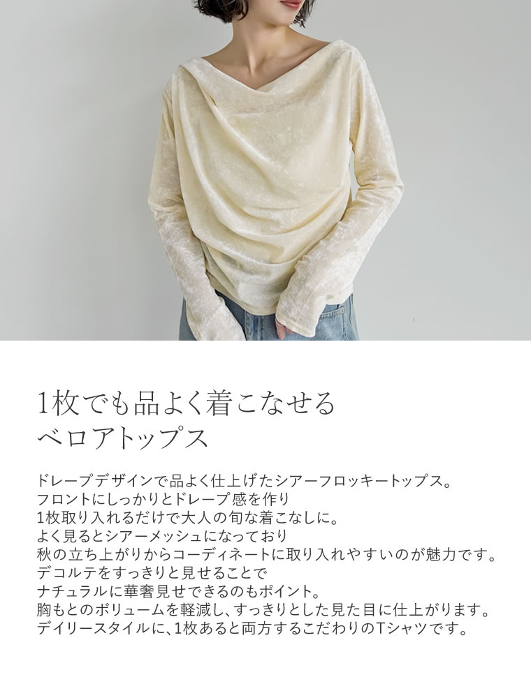 【限定！15%OFFクーポン】シアーフロッキードレープ長袖ベロアトップス レディース 秋 冬 リエディ トップス Tシャツ カットソー 長袖 ベロア ドレープ フロッキー シアー プルオーバー ロンT ドレープ メッシュ レイヤード 重ね着 [mb]