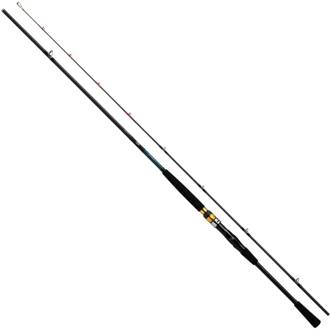 ダイワ(DAIWA) シーパワー73 80-300・N ブラック｜SKSHOP