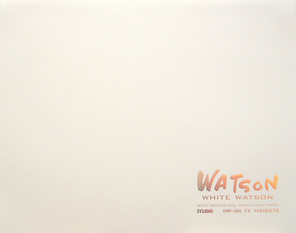 ミューズ(Muse) 水彩紙 ホワイトワトソンブロック F10 300ｇ ホワイト 15枚入り HW-310 F10｜SKSHOP