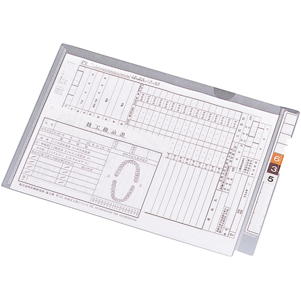 リヒトラブ カルテフォルダー 下げ翼付 B5 100枚入 HK2005