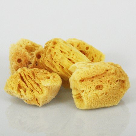 海綿 77 Off エーゲ海産 天然 スポンジ 最高級品 5個セット フェイス用