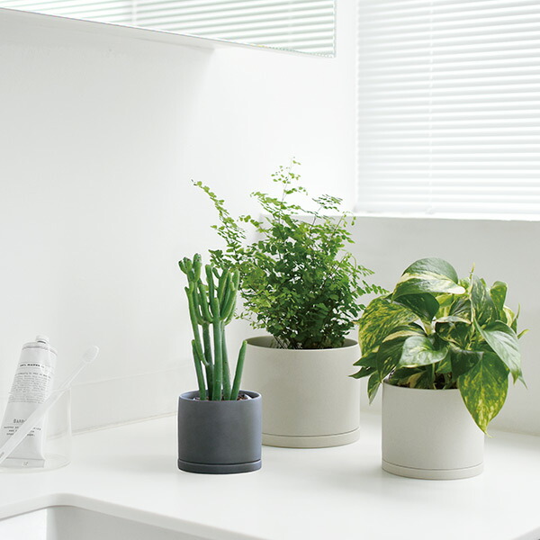 楽天市場 キントー Kinto プラントポット 191 105mm アースgy ガーデニング プラント 植木鉢 オシャレ 観葉植物 受け皿セット 植え替え 庭 玄関 インテリア小物 キッチン雑貨shopガンバレ奥さん