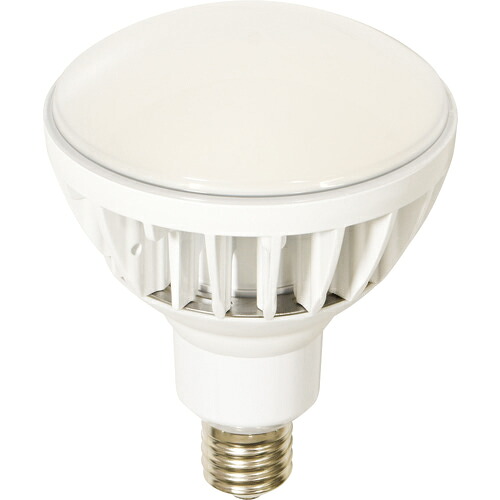[交換球]【送料無料】日動工業（株） ＮＩＣＨＩＤＯ ＬＥＤ交換球 ハイスペックエコビック５０Ｗ Ｅ３９ 本体白 1個【109-8996】【北海道・沖縄送料別途】【smtb-KD】