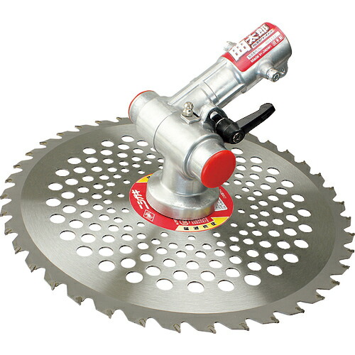 モニカ様　送料 楽天市場】住友化学園芸 ベニカXファインスプレー 1000ml 殺虫剤 殺菌