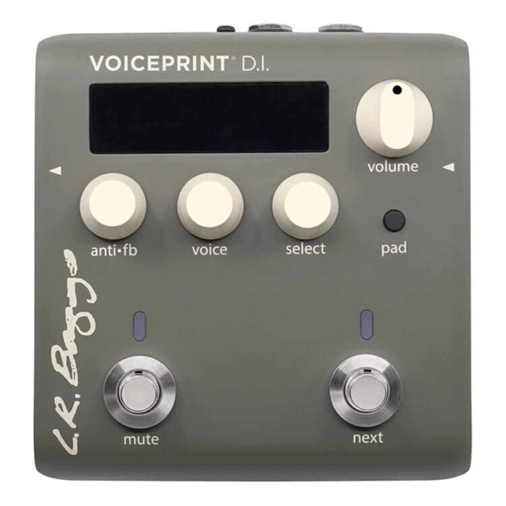 【店内全品5%OFFセール開催中】L.R.Baggs エルアールバッグス VOICEPRINT DI|G&G onlineshop