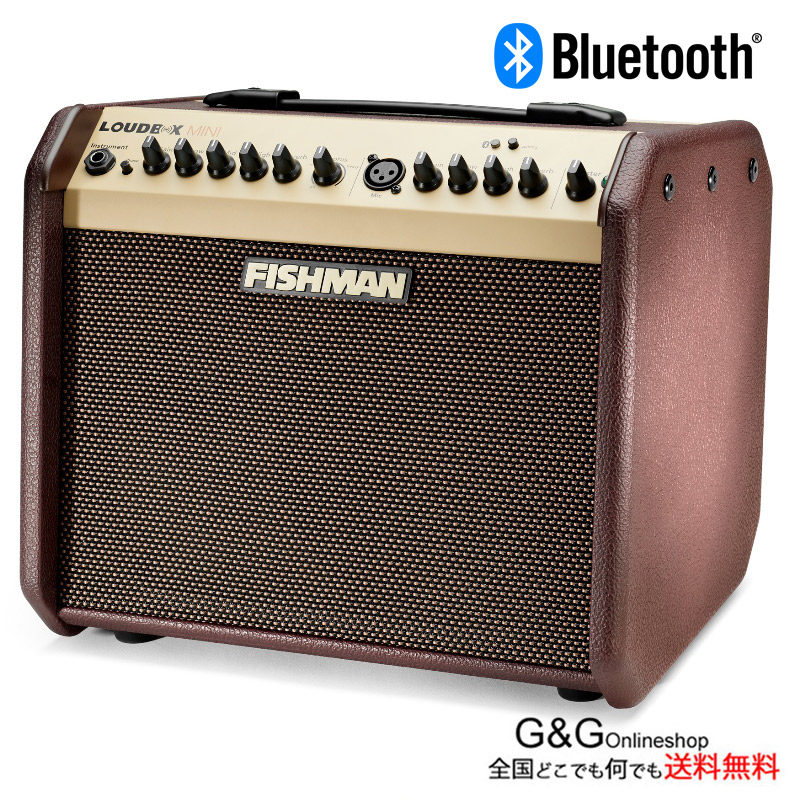 フィッシュマン ラウドボックス ミニ アコースティックギター用アンプ FISHMAN Loudbox mini Bluetooth ブルートゥース搭載 ウクレレやギターなどアコースティック楽器用アンプ　FISHMAN PRO-LBT-JA5 LB.MINI BT　2026cstk