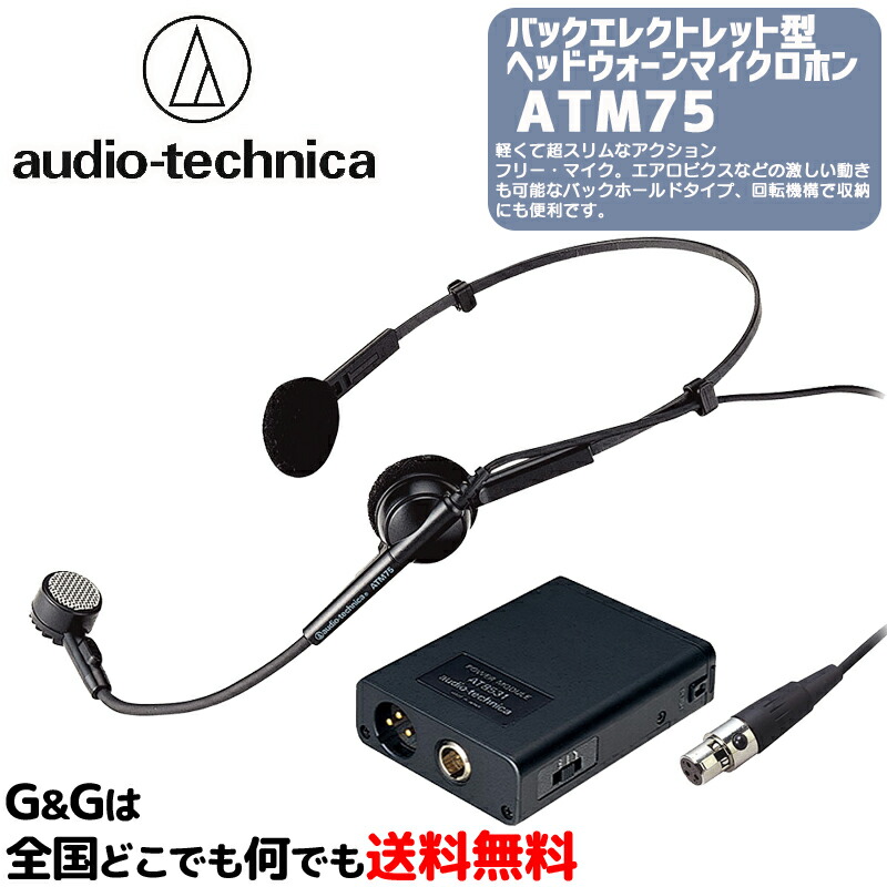 配信機器・PA機器・レコーディング機器 Audio Technica AE6100 audio-technica オーディオテクニカ AE6100 TAMAブラックマイク