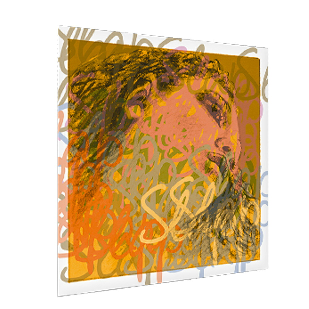 楽天市場】PIRASTRO ピラストロ エヴァピラッツィ コントラバス弦 G A1