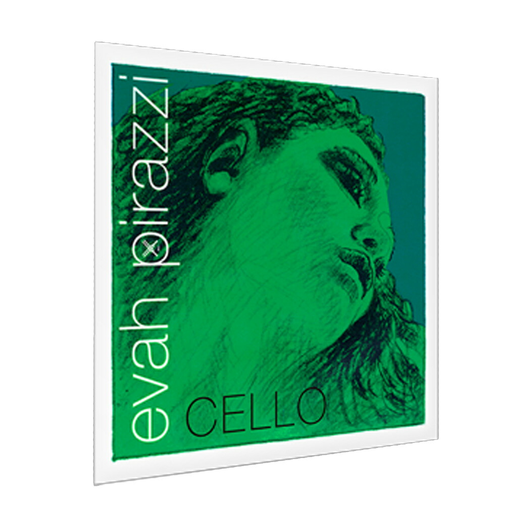 楽天市場】PIRASTRO ピラストロ エヴァピラッツィ コントラバス弦 G A1