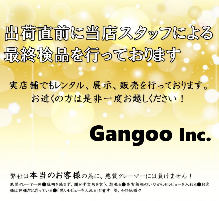 新品 送料無料 ライダー登場 Gangoo-Rider 電動ドリフトカート 子供も大人も 36Vハイパワー Bluetooth音楽 ミニセグウェイ  バランススクーター ずっと修理サービス付 whitesforracialequity.org