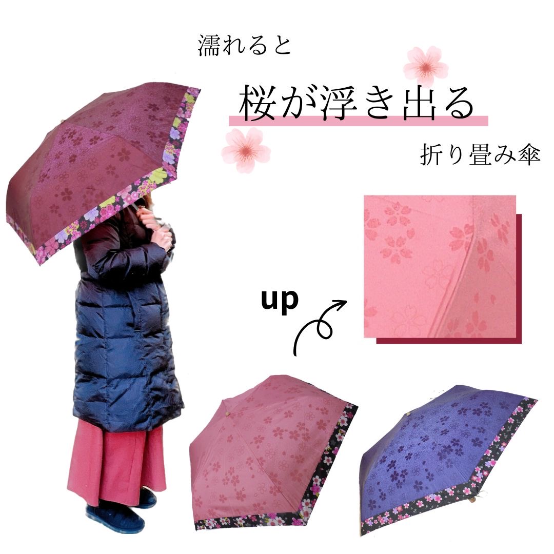 【超美品】和傘さくら kiyo0.jpg