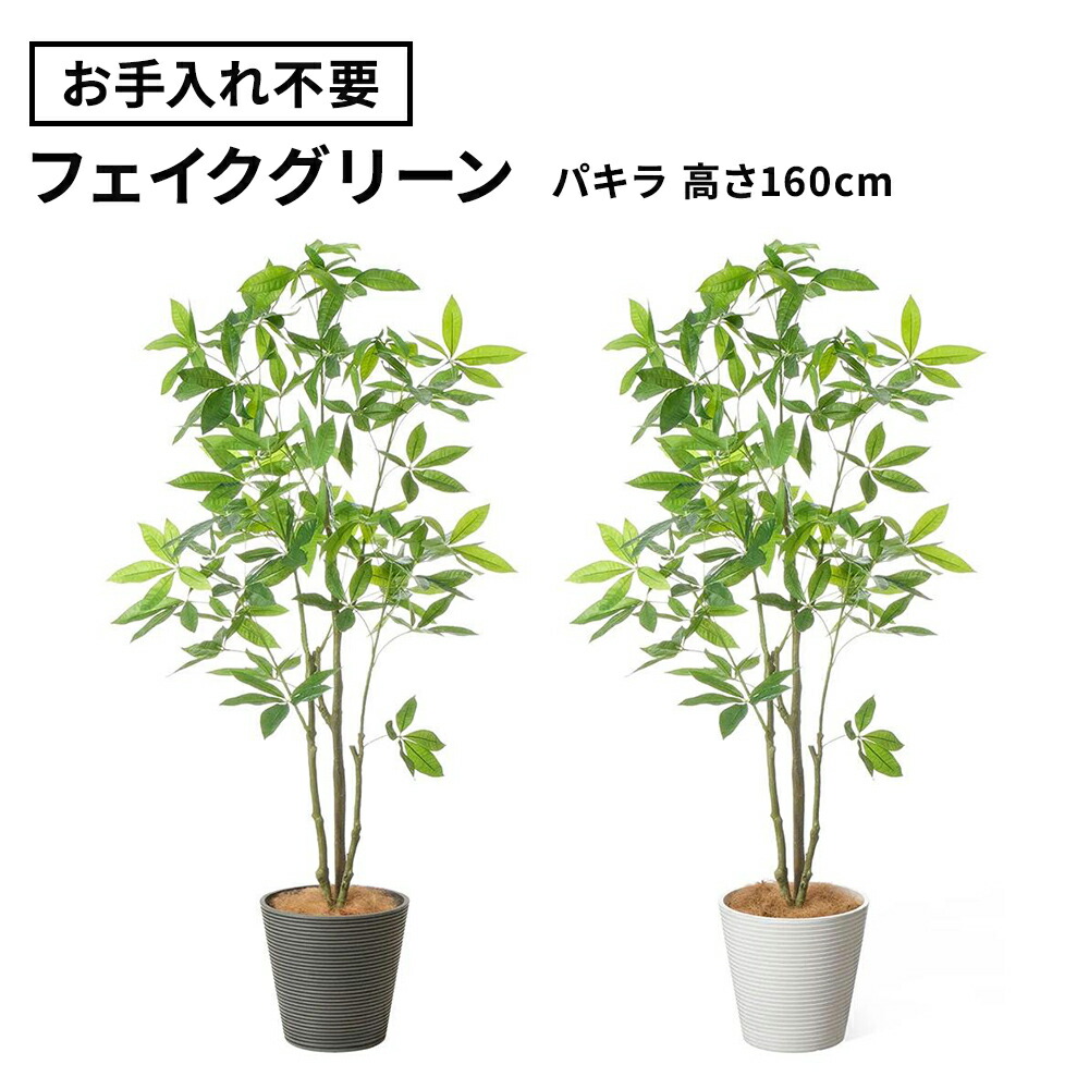 フェイクグリーン 観葉植物 パキラ 高さ160cm (鉢付き グリーン フロアグリーン 大型 会社 法人 オフィス ギフト 開店祝い お祝い 玄関 エントランス リビング オフィスグリーン プランター インテリア)