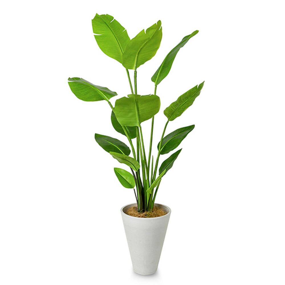 観葉植物 ストレチア 立ち木 オフィスにぴったりのインテリアグリーン 大型 インテリア リビング オフィス家具 フェイクグリーン ギフト 高さ160cm エントランス オフィス 玄関 贈り物 ギフト プレゼント 開店祝い 出店祝い 引っ越し祝い 移転祝い 開業祝い フロア