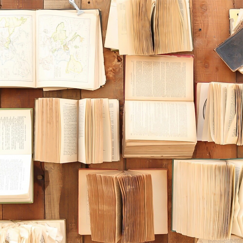 メーカー直売 古書 洋書 アンティーク 50cm ユーズドブック 古い本 Dulton ダルトン デザイン ディスプレイ 本 小物 古書セット 本屋 アイテム 自宅 ショップ デコレーダー ディスプレイデザイナー インテリア おしゃれ 雑貨 撮影雑貨 撮影小物 Book 文具 紙物