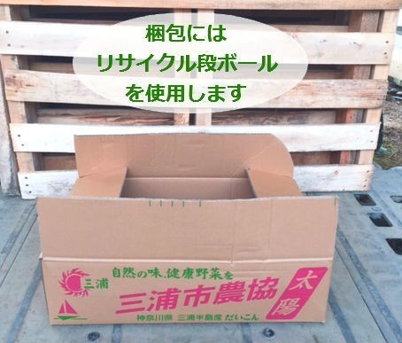 クリーピングタイム ロンギカリウス 70potセット 127円 Pot 送料無料 花苗 雑草対策 ハーブ 紫花 常緑 グランドカバー Timgroomarchitects Com