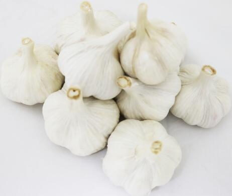 １ｋｇ ３ｌサイズ 優自社生産 国産 香川県産圃場直送 上海早生 嘉定種 にんにく 大蒜 ファクトリーアウトレット