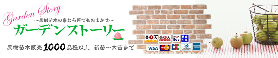 楽天市場 染井吉野桜 1年生接木苗ソメイヨシノサクラ 納期指定 発送予定2021年12月中旬以降順次 通常発送 花木苗木 桜 さくら ガーデン ストーリー 楽天市場 染井吉野桜 1年生接木苗ソメイヨシノサクラ 納期指定 発送予定2021年12月中旬以降順次 通常発送 花木苗木 桜 さくら ガーデン ストーリー