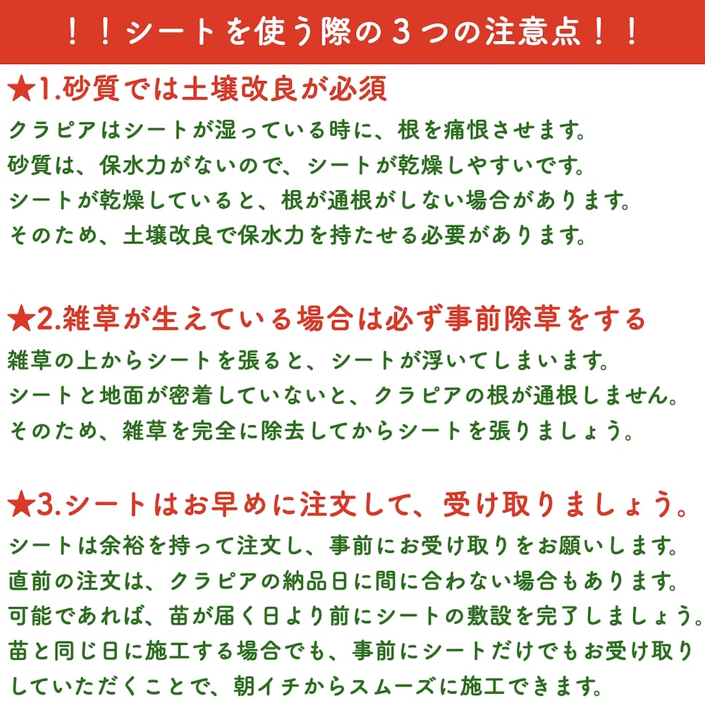 植栽シートライト通根タイプクラピア植栽時におすすめ1m×100m送料無料