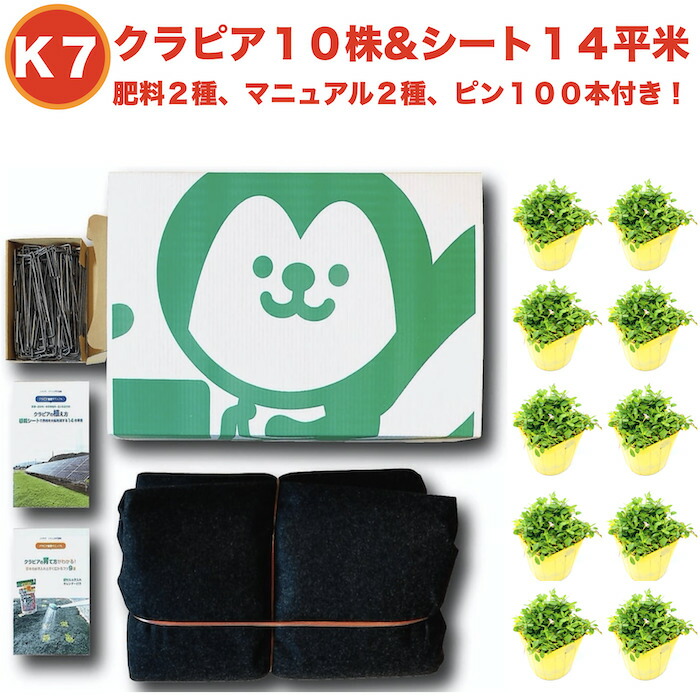 クラピアk7 白 J字型ピン100本 すくすくシート14平米 クラピア グランドカバー ポット苗１０株 マルチング 完全植栽マニュアル２種付き 肥料２種 芝桜 雑草対策 Sale 71 Off ポット苗１０株