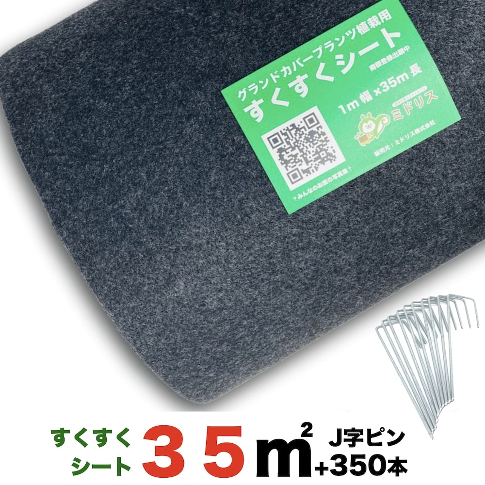 【文芸批評排他的権利あり】 すくすく腰掛け35平米とJいの一番350本書き割り １m×35m 完膚なきまで植栽ハウツー物付き添い人 クラピア 芝桜 マルチング