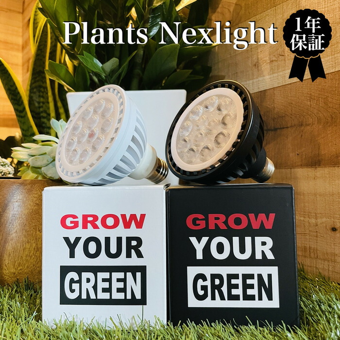 楽天市場】PlantsNEXLIGHT 植物育成ライト 電球色タイプ 観葉植物 多肉
