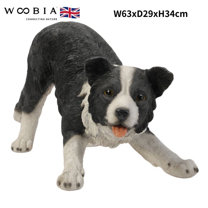 楽天市場】犬 置物 大きい じゃれるボーダーコリー 特大 高さ34cm